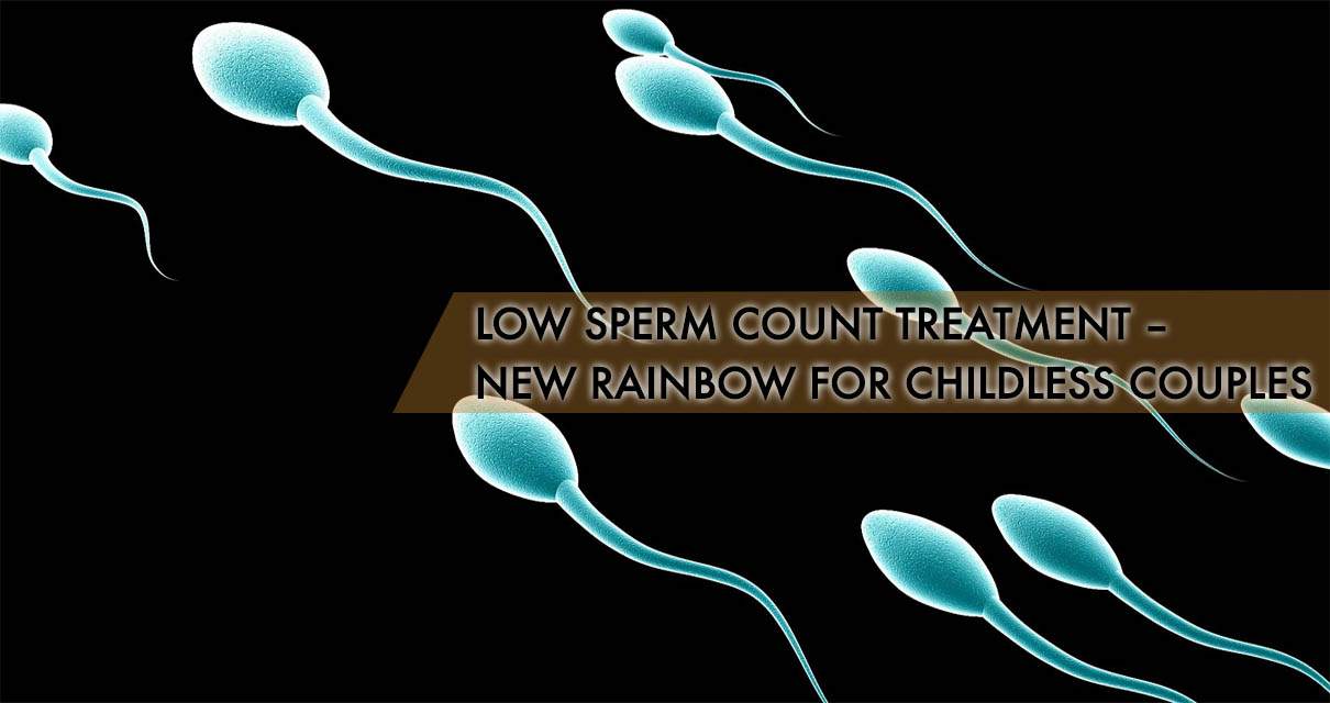 Count get sperm up