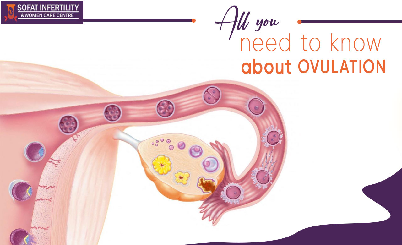 Things To Know About Ovulation