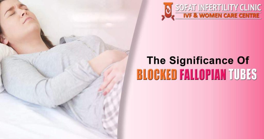 The significance of Fallopian Tubes & What are yours of conceiving in case blocked?