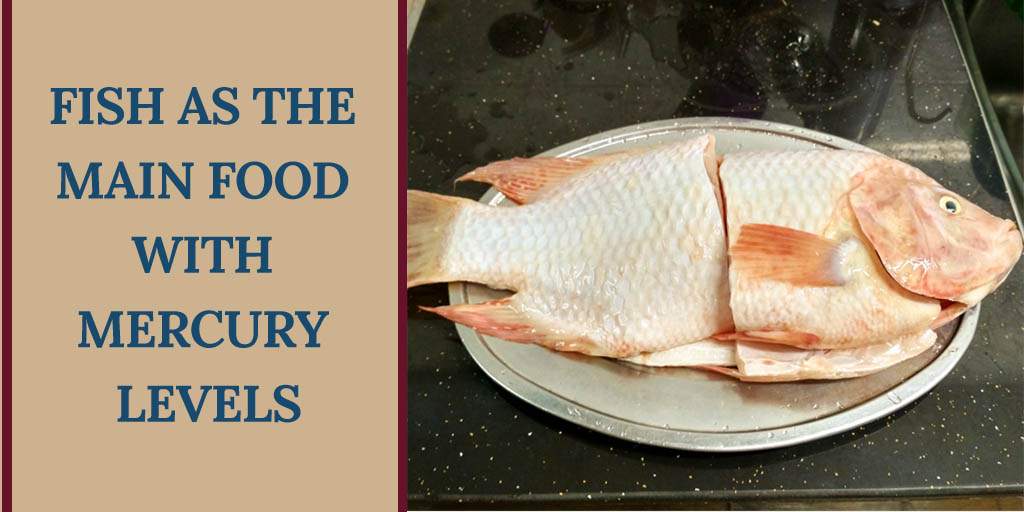 Fish as the main food with mercury levels 