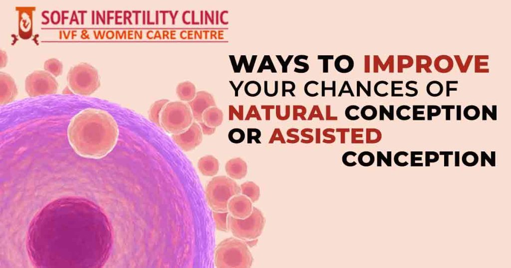 Ways to Improve Your Chances of Natural Conception or Assisted Conception