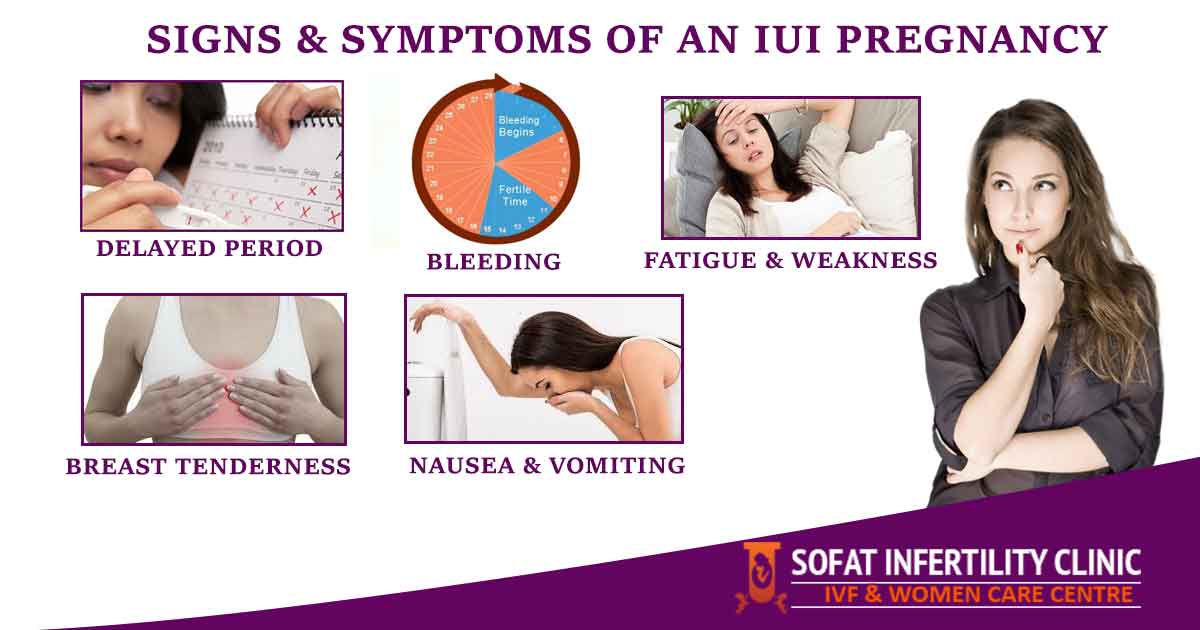 Signs & Symptoms of An IUI Pregnancy 