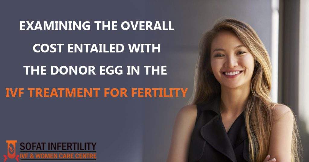 Examining The Overall Cost Entailed With The Donor Egg In The IVF Treatment For Fertility