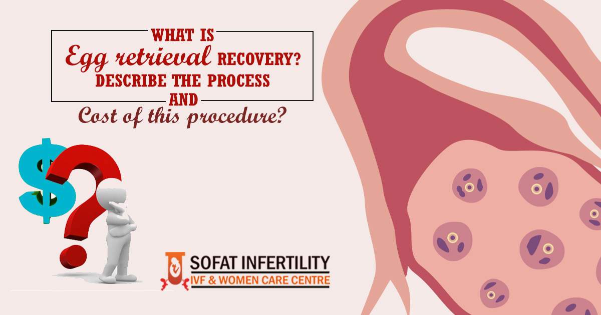What is Egg retrieval Recovery - Describe the Process and Cost of this procedure