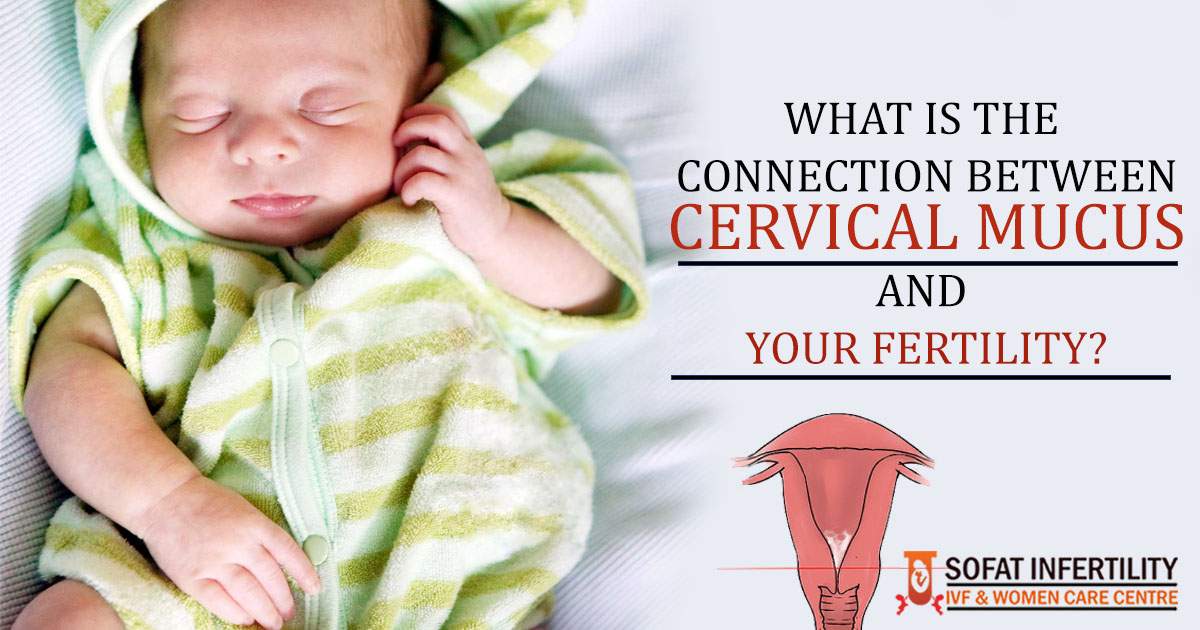 What is the connection between cervical mucus and your fertility