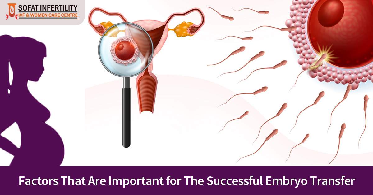 Factors that are important for the successful Embryo transfer