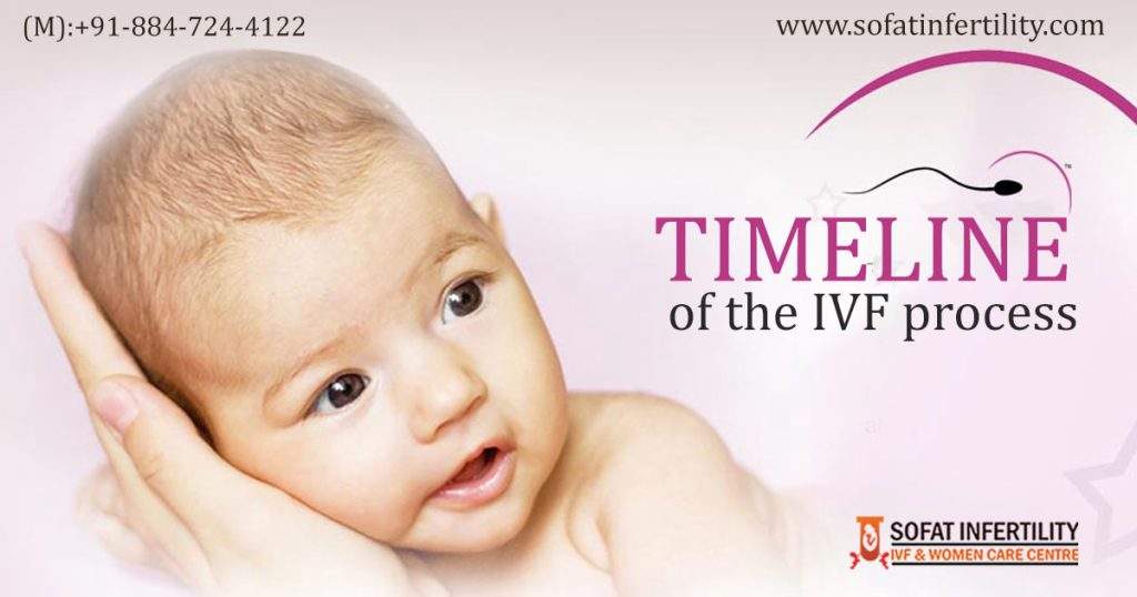 Timeline of the IVF process