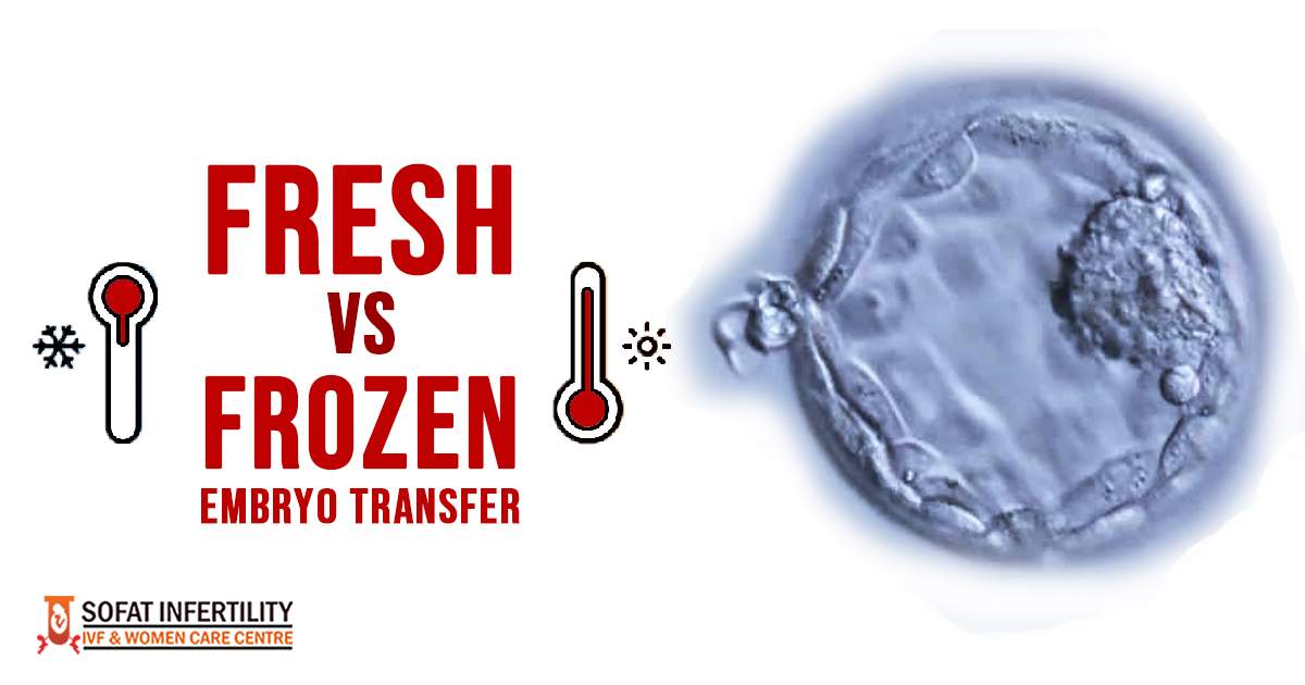 Fresh Vs. Frozen Embryo Transfer