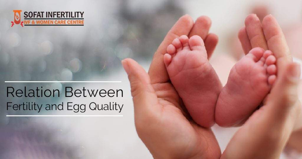 Relation between fertility and egg quality