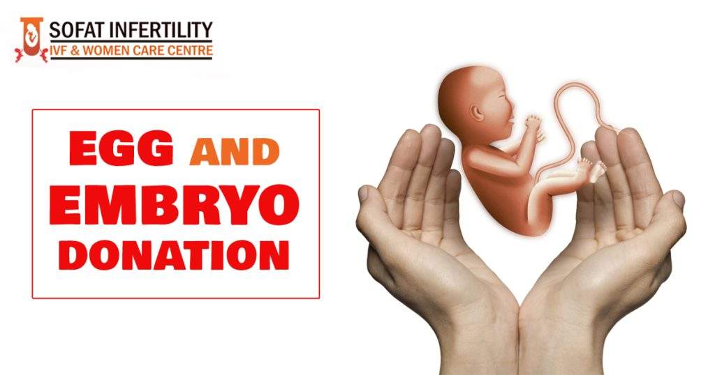 Egg and embryo donation copy