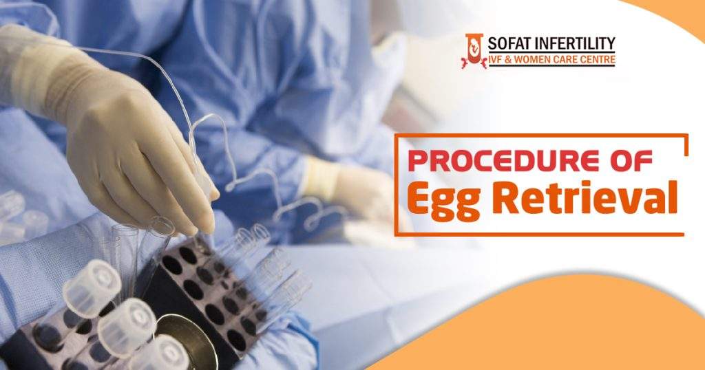 Procedure of Egg Retreirval