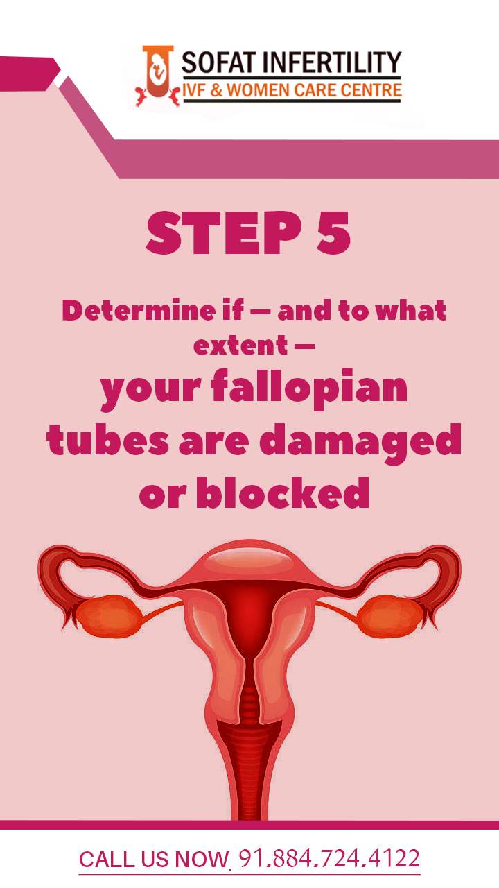 Understanding Fallopian Tubes Are Damaged or Blocked