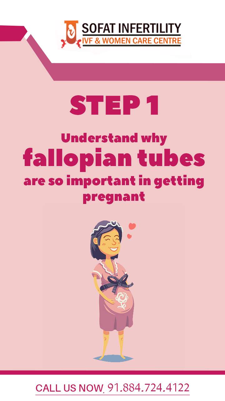 Understanding about Fallopian Tubes and its Importance
