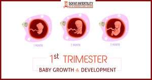 1 to 3 Months Pregnancy Period - Baby Growth & Development - Dr. Sumita