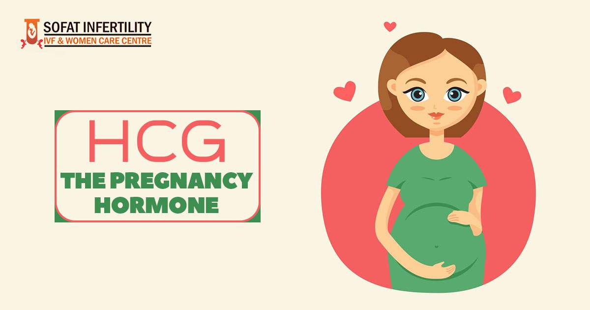 Hcg level pregnancy what indicates hCG levels: