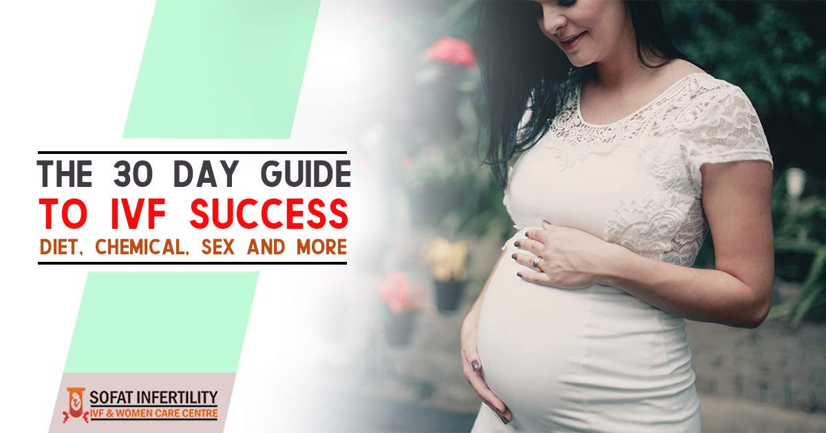 The 30 Day Guide To IVF Success Diet, Chemical, and more
