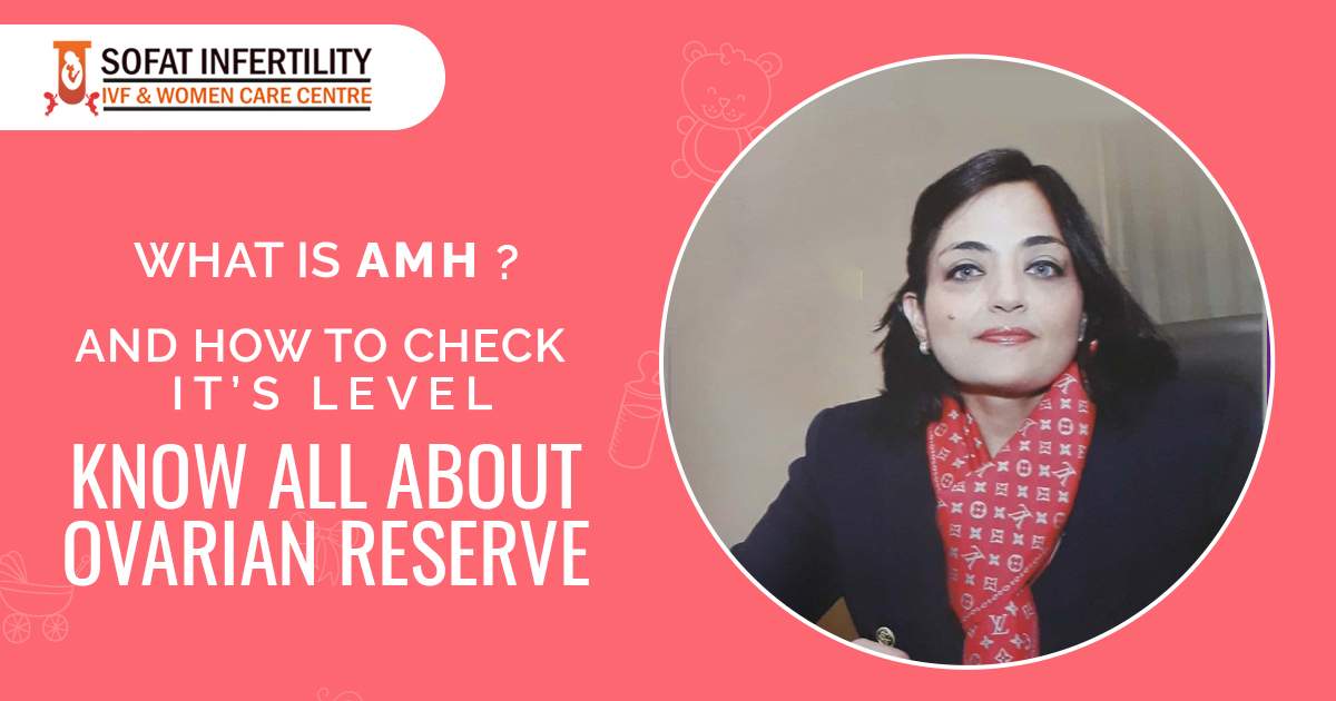 What is AMH and how to check AMH Level to get knowledge about Ovarian  Reserve?