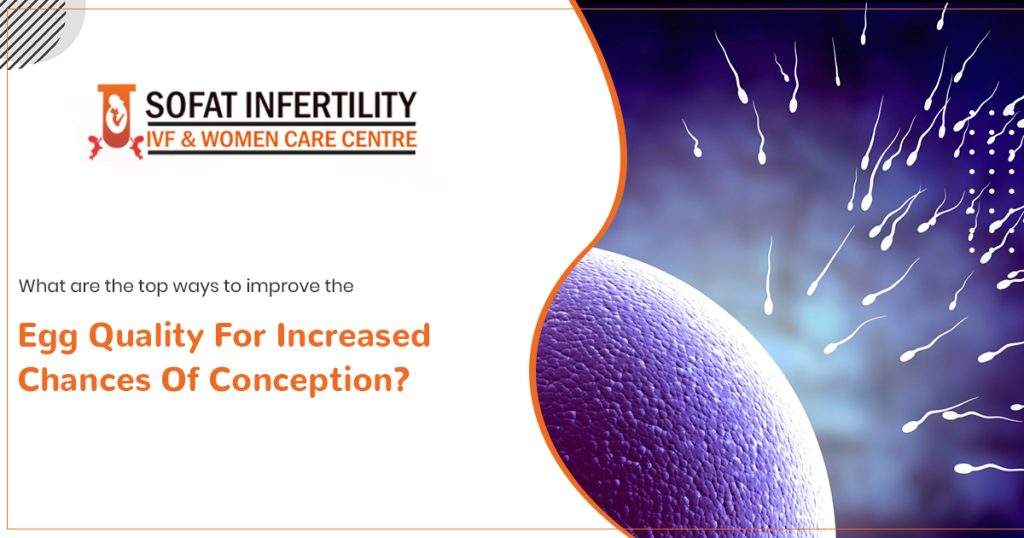 What are the top ways to improve the egg quality for increased chances of conception