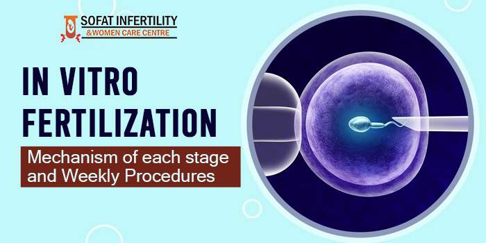 In-Vitro-Fertilization - Mechanism of each stage and Weekly Procedures