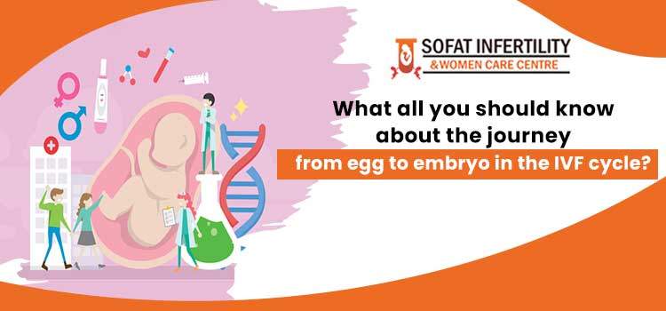 What-all-you-should-know-about-the-journey-from-egg-to-embryo-in-the-IVF-cycle-sofat-jpg