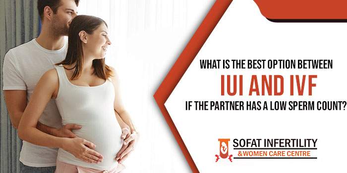 What is the best option between IUI and IVF if the partner has a low sperm count
