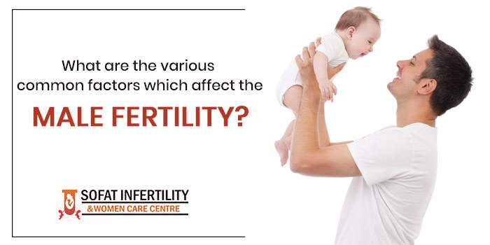What-are-the-various-common-factors-which-affect-the-male-fertility
