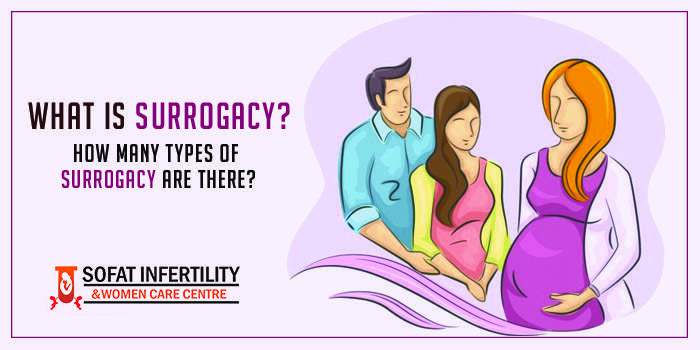 What Is Surrogacy How Many Types Of Surrogacy Are There Latest News On Infertility 