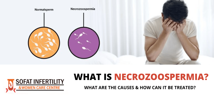 WHAT IS NECROZOOSPERMIA WHAT ARE THE CAUSES & HOW CAN IT BE TREATED