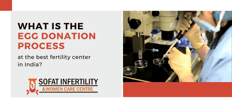 What is the egg donation process at the best fertility centre in India?