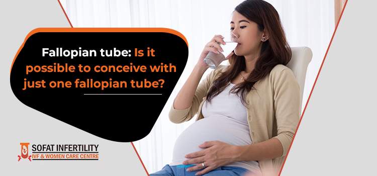 Fallopian tube: Is it possible to conceive with just one fallopian tube?