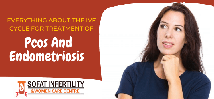 Everything about the IVF cycle for treatment of PCOS and Endometriosis
