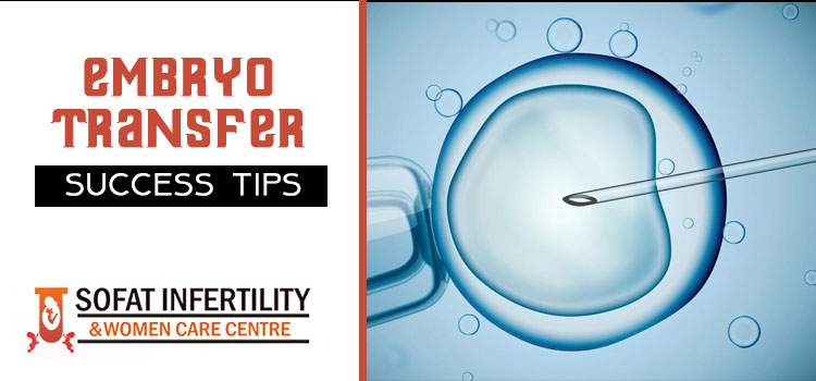 Embryo Transfer Success Tips
