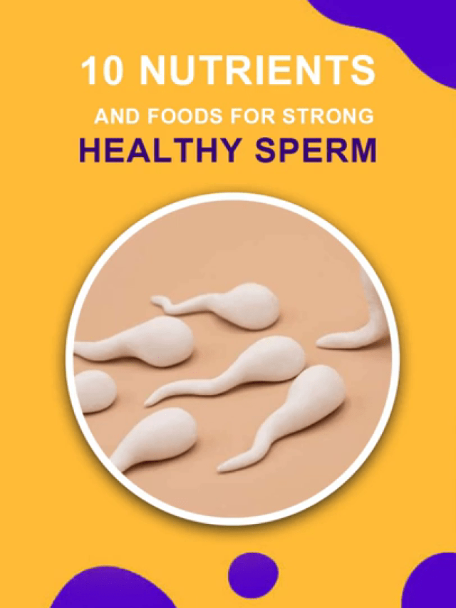 Top 10 Nutrients & Food For Healthy Sperm