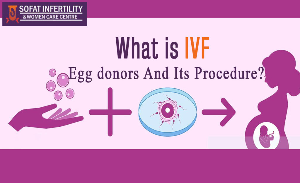 What is IVF, Egg donors And Its Procedure?