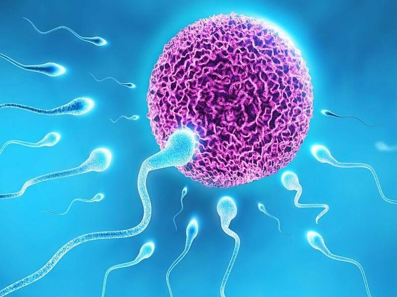 What are the Causes of Infertility?