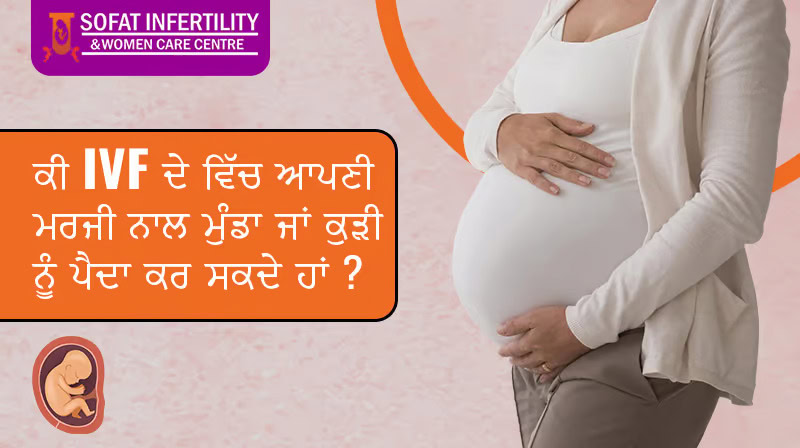 can-we-choose-to-have-a-boy-or-a-girl-through-ivf
