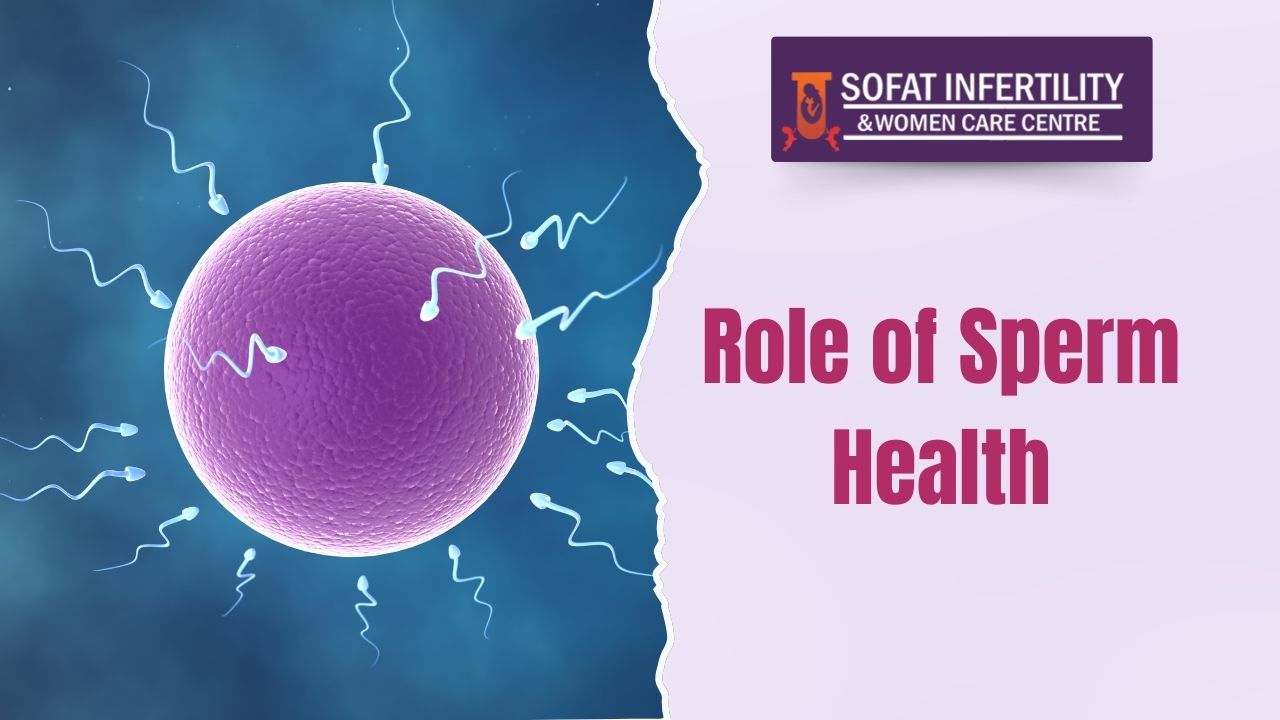 The Relationship Between Sperm Morphology and Fertility 