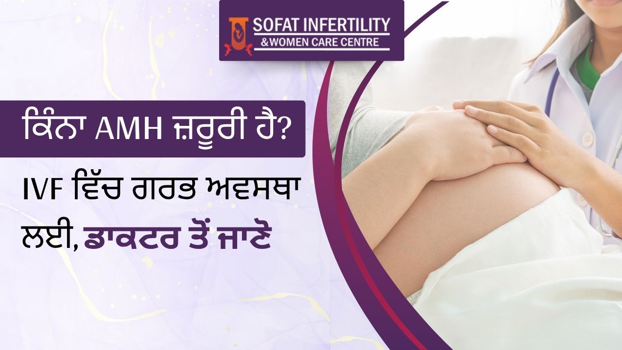 AMH and IVF: How important is it for pregnancy?