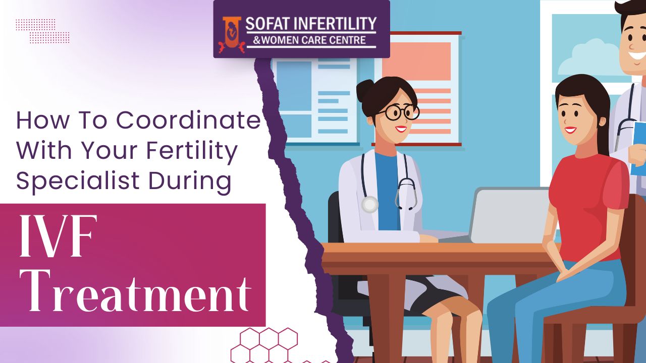How To Coordinate With Your Fertility Specialist During IVF Treatment