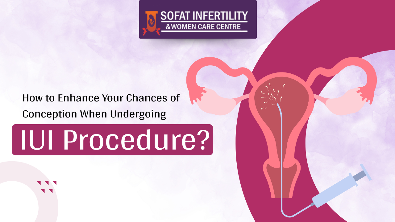 IUI Process