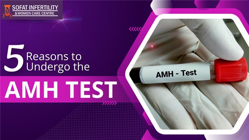 AMH Test