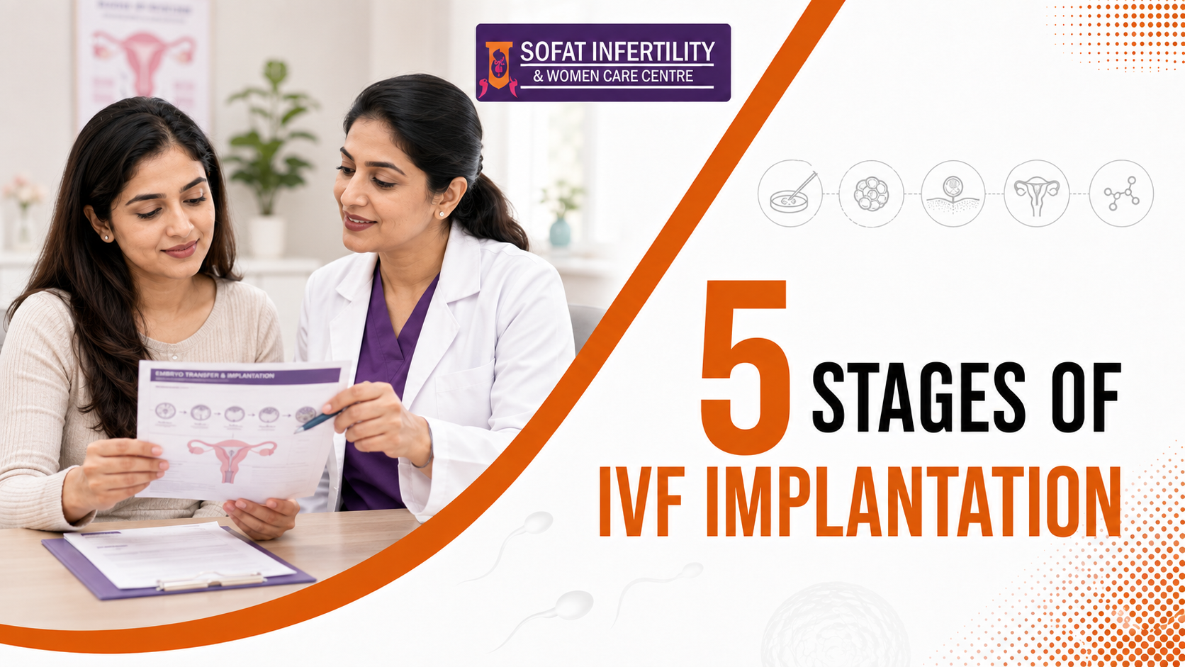 What are the 5 stages women go through during IVF implantation?