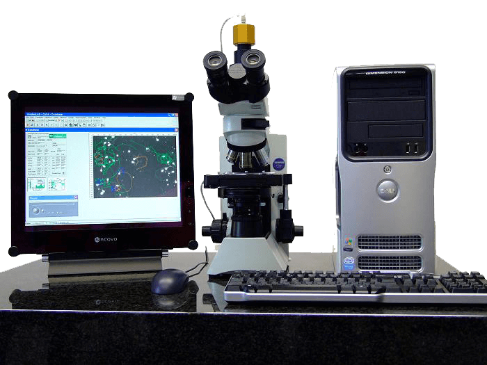 CASA treatment in india