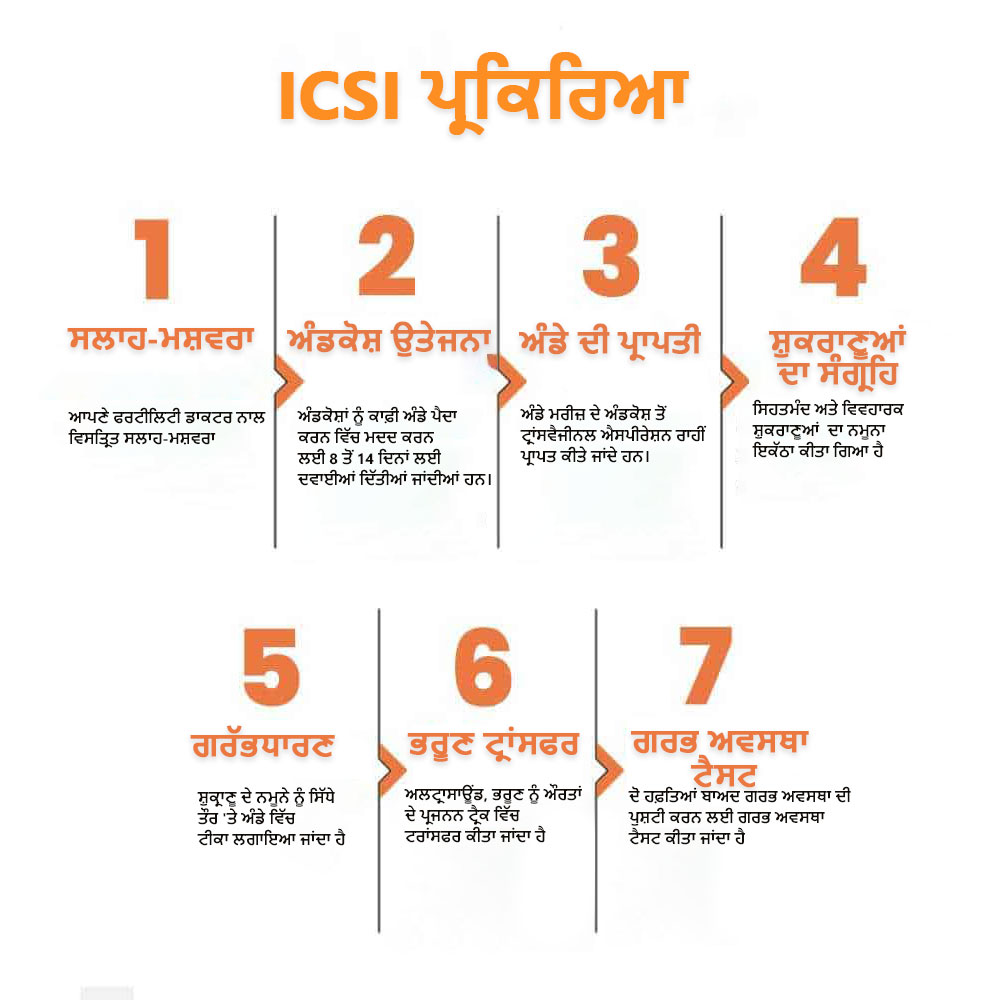 ICSI Process