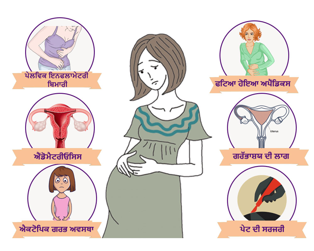 Woman’s-Fallopian-Tubes-Here-Are-The-Reasons