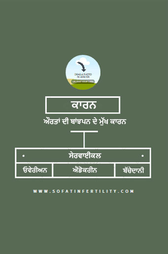 female-infertility-causes