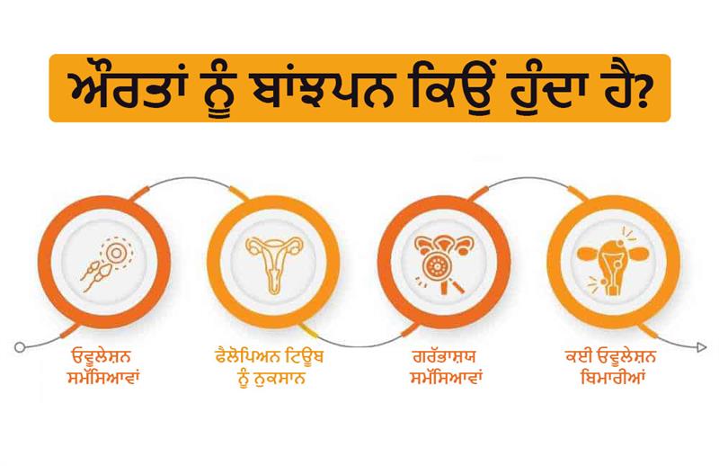 causes of female infertility