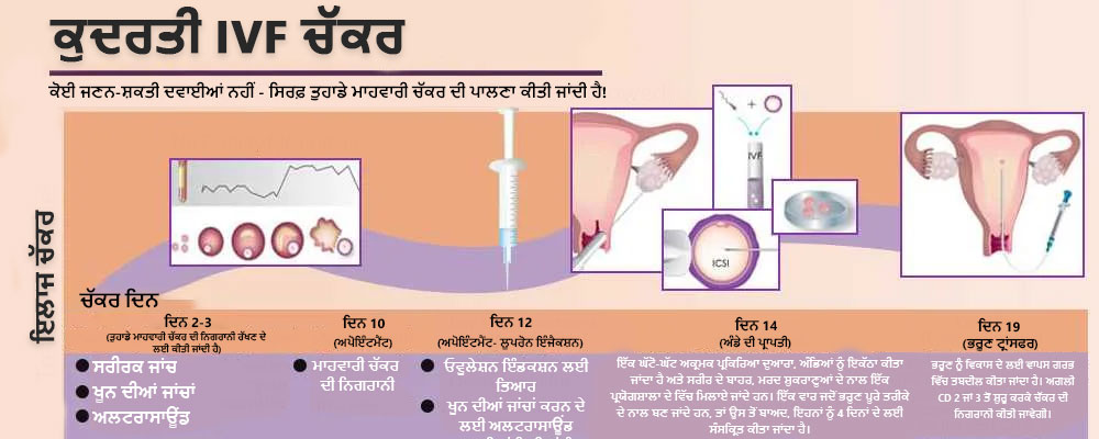 Sofat-Natural-IVF-Cycle