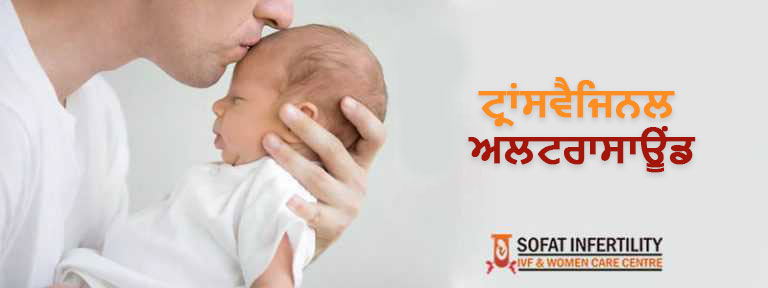 Transvaginal Ultrasound India - Image sofatinfertility.com