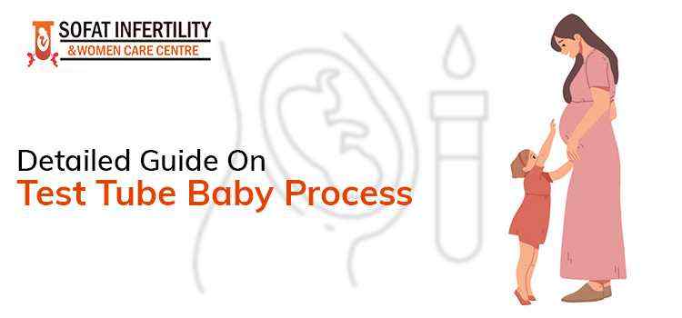 Detailed Guide On Test Tube Baby Process sofat